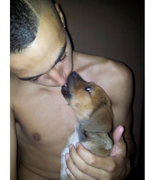 boys dogs & other animals 5ae96c27be2e7.jpg