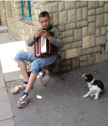 boys dogs & other animals 5ae96c304b267.jpg
