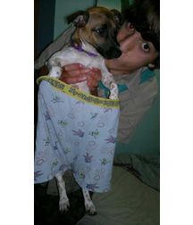 boys dogs & other animals 5ae96c32ed97a.jpg