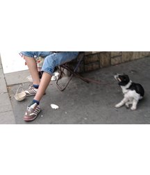boys dogs & other animals 5ae96c3b2119d.jpg