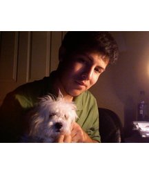 boys dogs & other animals 5ae96c3f71eec.jpg