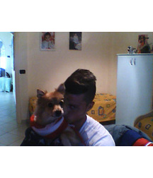 boys dogs & other animals 5ae96c4219d74.jpg