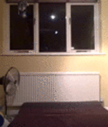 in the bed 5b098ec87e6e5.gif
