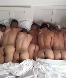 in the bed 5b098eff18bf6.jpg