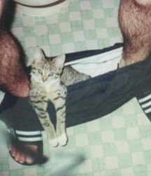 une belle collection de garçons 5b15a5c4c81e1.jpg