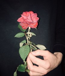 jeunes en fleurs 5b1fbec8cd026.jpg