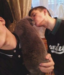 teens boys 5b35fffa59ff7.jpg