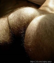 art du cul 5b4751eeaf21e.jpg