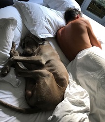 les plus beaux 5b5a35adbd4fb.jpg
