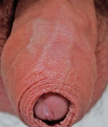 wow sex 5b657410453e7.jpg