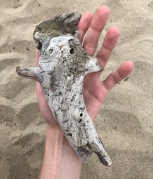 imagesde garçons 5b858192925a5.jpg