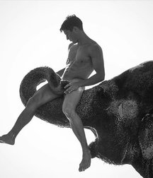 so interesting 5bcf69a6abf35.jpg