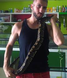 animals and frank 5be84cfae14bb.jpg