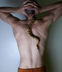 animals and frank 5be84cffddb68.jpg