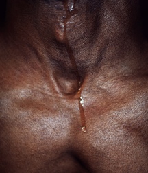 exotics sexy 5c13d9a84d059.jpg
