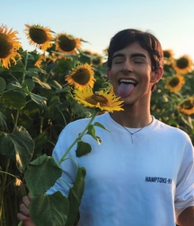 fleurs 5c30b874cf6ad.jpg