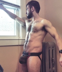fantastic cocks 5c39fabae01fb.jpg