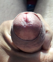 cocks boysss 5c4f3996c8d0a.jpg
