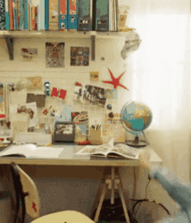 cocks and boys 5c517153e681b.gif