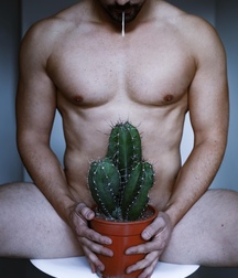 special sex 5c55b6c41473f.jpg