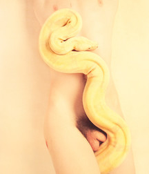 special sex 5c55b6e85b068.jpg