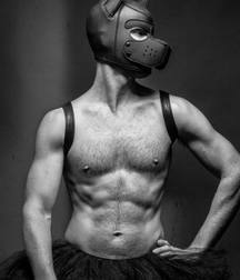 hormones 02 5c5c7233e48a4.jpg