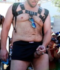 bears and sperm 5c81834b8fd5f.jpg