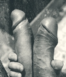dark and cocks 5c8fcbfa39c41.jpg