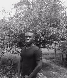 noirs excite 5c9df583345c1.jpg