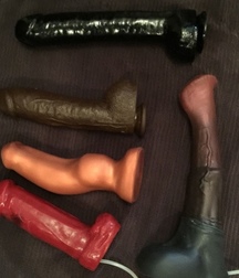random sex  5ca0c0a80237f.jpg