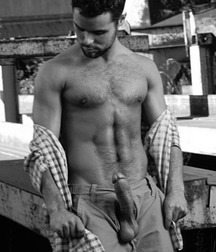 hard and bears 5ca232f5966d6.jpg