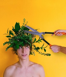 encore des fleures 5cf29b8fbe62c.jpg