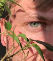 homo details 5cf29e14501b0.jpg
