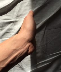 homo details 5cf29e5450d36.jpg