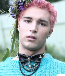 vie sauvage gay tube