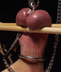 fin soiree gay tube twinks porn mages 5f3ae5962b134.jpg