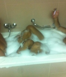 amusement of boys porn 5f3fc3a878f2d.jpg
