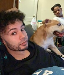 mens and animals gay tube 5f6ba0b1d48f7.jpg
