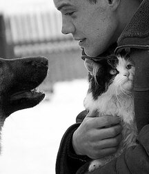 mens and animals gay tube 5f6ba0dcbc55f.jpg