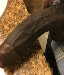 cocks gay gay tube guys 5fa2e5cb52f88.jpg