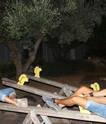 Gay tube cure guys mix boys 5fcea29e874f7.jpg