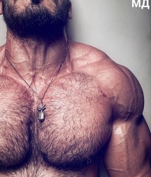 bears gay porn 5fd49a7167966.jpg