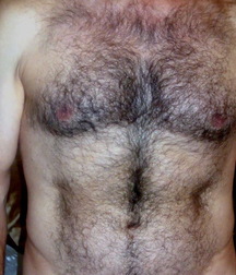 bears gay porn 5fd49a779f4e0.jpg