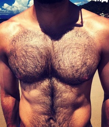 bears gay porn 5fd49ac8cfc26.jpg