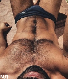 bears gay porn 5fd49b1cd69a4.jpg