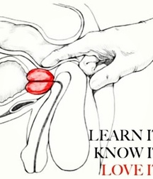 prostatic massage gay tube 5fdcdfe9e9748.jpg