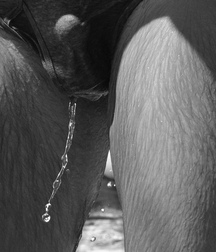 gay tube some exciting boys 600b423da10e1.jpg