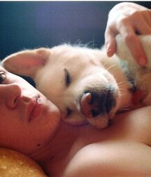 fantastic teens gay tube nice boys 60205b5006842.jpg
