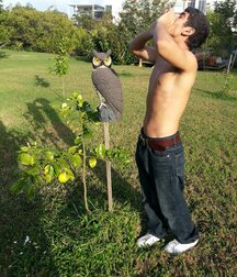 be nice friends twink tube teens 626e4fb173cac.jpg