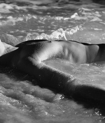 corps humans art gay porn tube 62b5839c22804.jpg